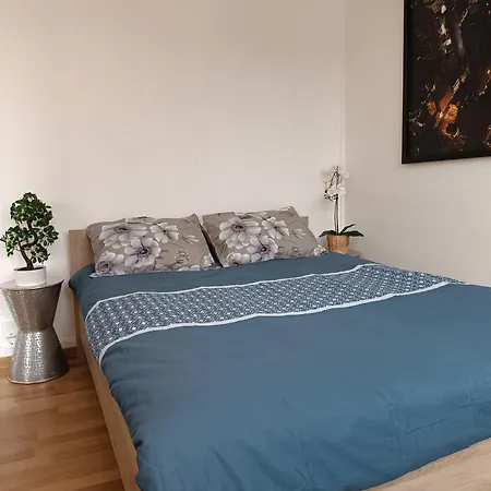 Appartement Cathédrale